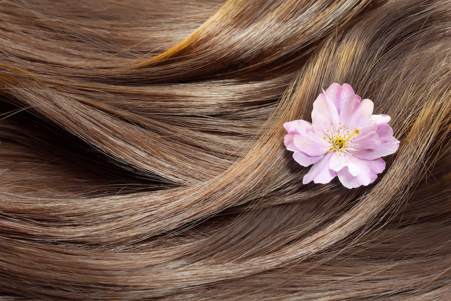 beautiful healthy shiny hair with highlighted golden streaks and a sakura flower